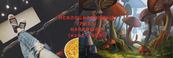СК Аркадак