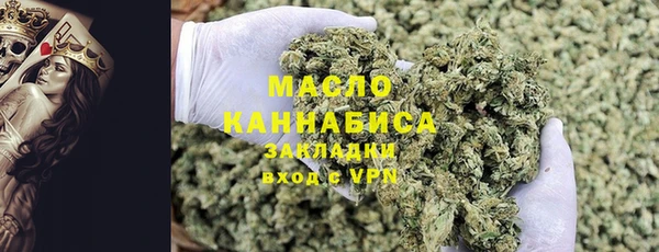 молекула духа Арсеньев