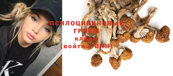 СК Аркадак